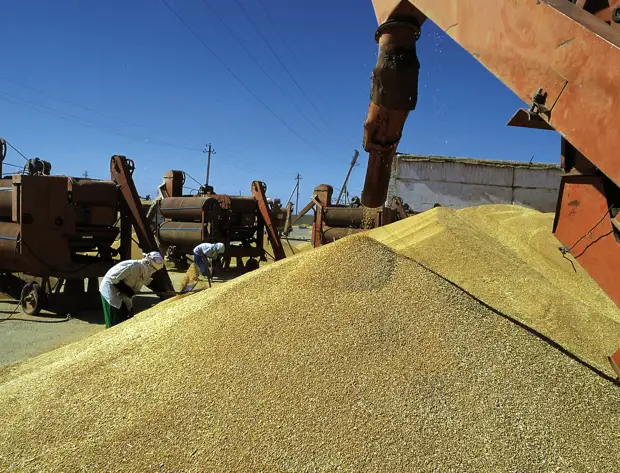 Порты закрыты, зерна нет: На Западе бьют тревогу из-за поставок