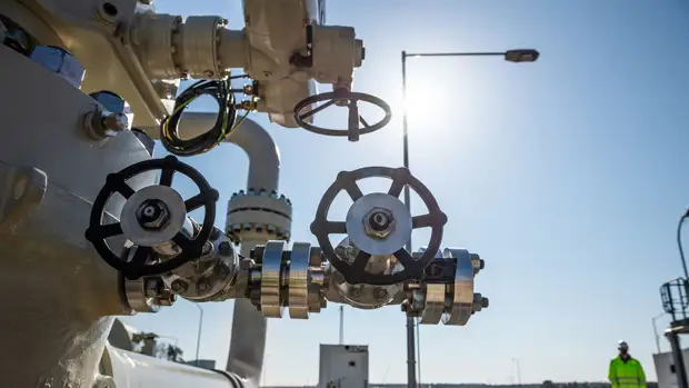 Нуланд заявила, что проект "Северный поток — 2" "мертв и не возродится"