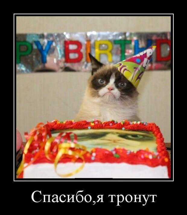 Демотиваторы (30 фото)