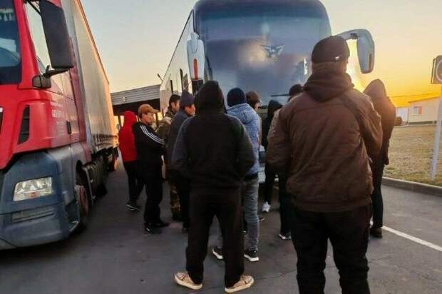 Нелегалы в Алтайском крае / Фото: Полиция края