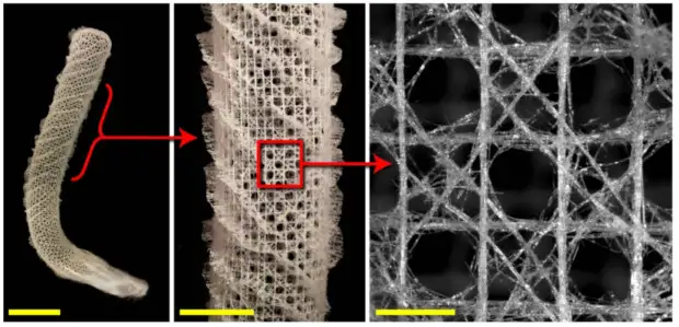 В потоке. Как губка проживает на дне океана