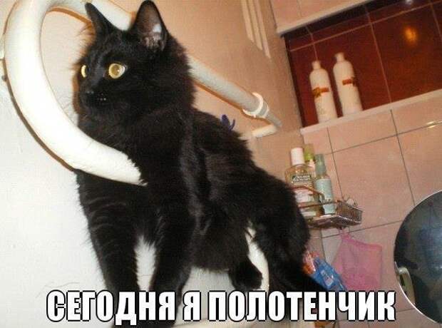 Всяко-разно...