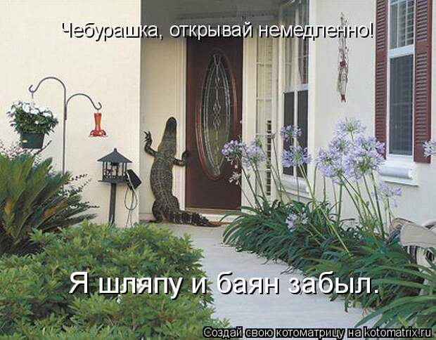 Прикольные картинки про животных