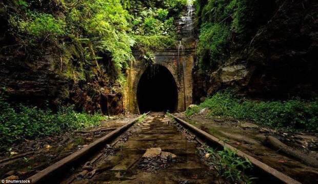 18. Заброшенные тоннели Helensburgh Tunnels на южном побережье Сиднея. Железнодорожная станция, соединяющая тоннели, была заброшена более 100 лет назад. заброшенное, заброшенные места, заброшенные объекты, интересное, находки, подборка, разрушенное, фото