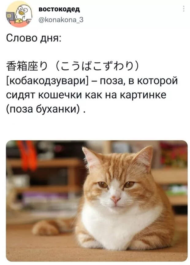 Подборка забавных твитов обо всем