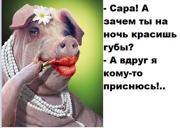 Как говорила моя бабушка: все, что нас не убивает, можно еще разок говорит, сортира, крайне, показаться, подлюка, матушка, морду, кнопка, долго, встал, думая, землю, Председатель, Приходит, стола, колхоза, треснул, корейцу, поднимаясь, вытирая