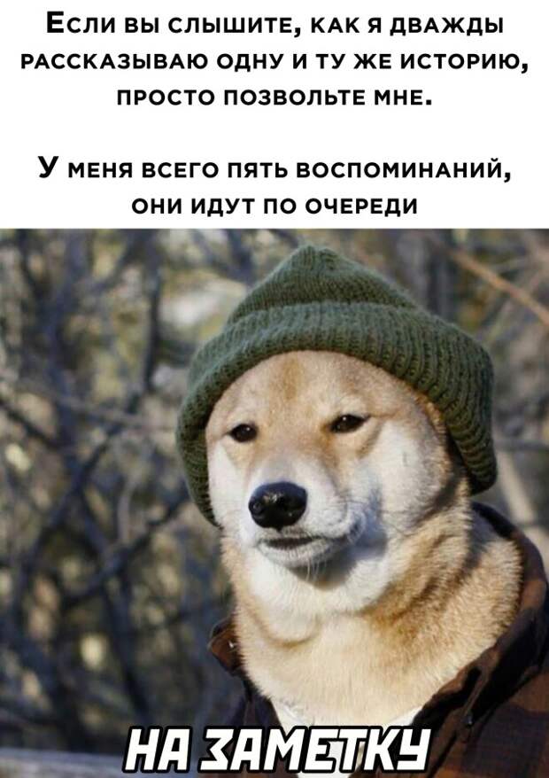 Смешные картинки 29 октября 2021 года