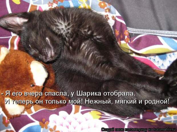 Котоматрица - - Я его вчера спасла, у Шарика отобрала. И теперь он только мой! Нежны