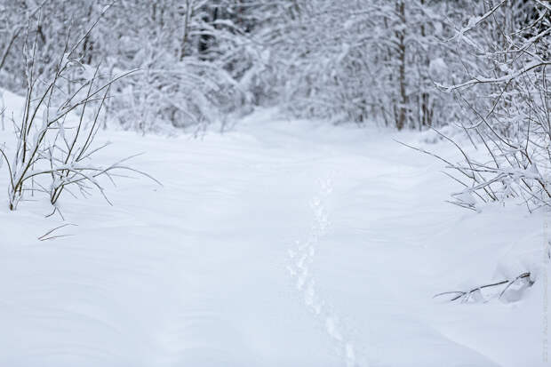 IMG_8235-Edit