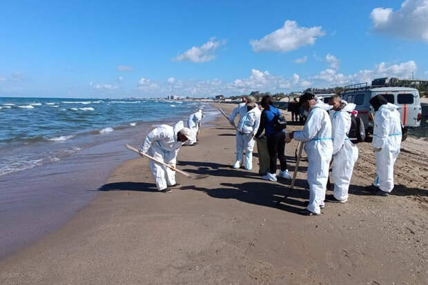 Кондратьев: пляжи Анапы готовы к сезону, мазута нет
