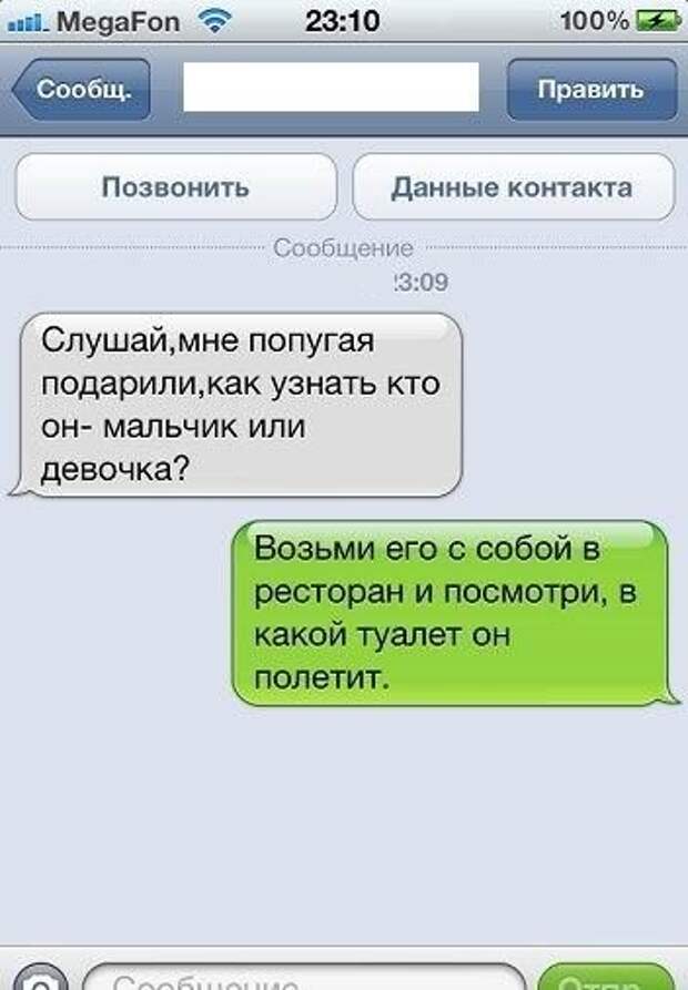 СМС с приколами