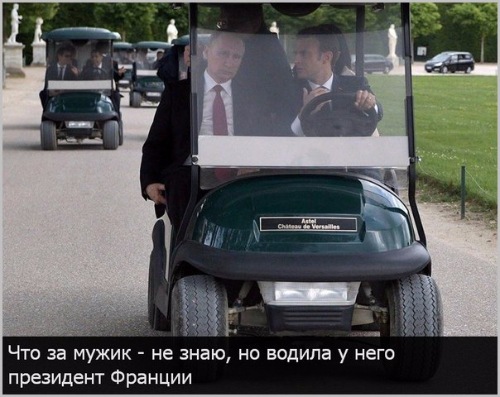 9ef6cba9c111.jpg
