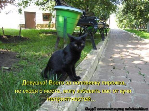 Котоматрицы(картинки с надписями)