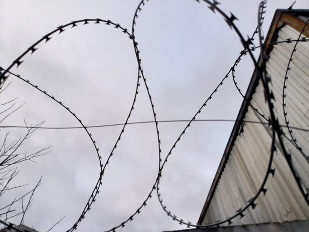 Продюсера Газманова арестовали за мошенничество