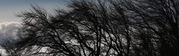 Пыльную бурю прогнозируют в Мангистау