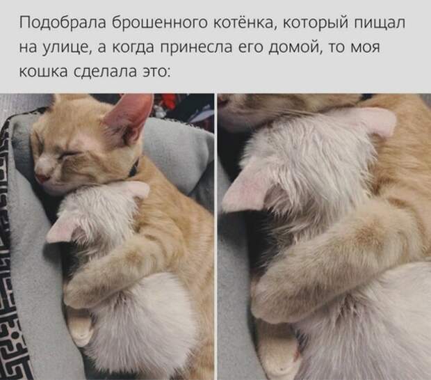 Забота Забота