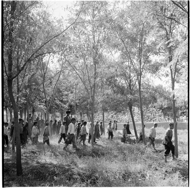 Туркмения. Школьники на прогулке