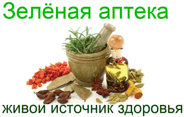 Аптека на грядке проект