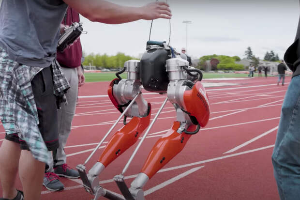 SciRobo: животные бегают быстрее роботов за счет совершенства организма