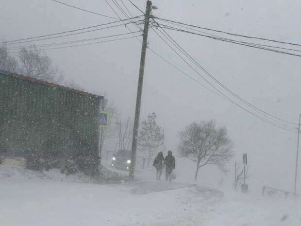 Зима не отступает: снег с дождем накроет Приморье на следующей неделе