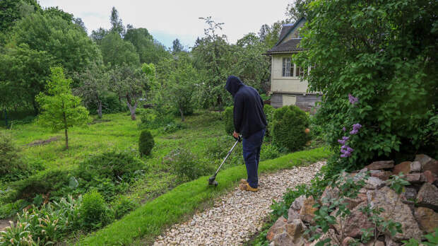 Дачников предупредили о штрафе за нескошенную траву на участке