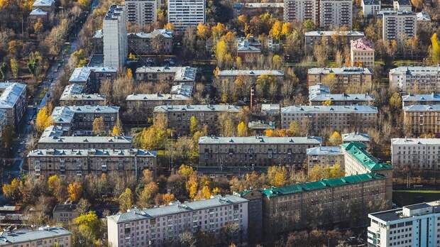 Теплицы в российских жилых домах оснастят ульями для шмелей
