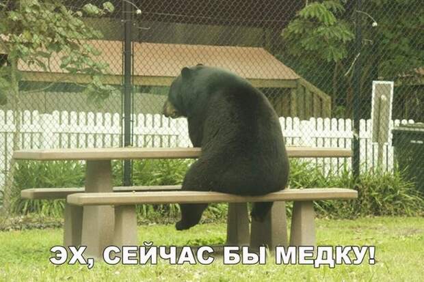 Смешные картинки (20 фото)