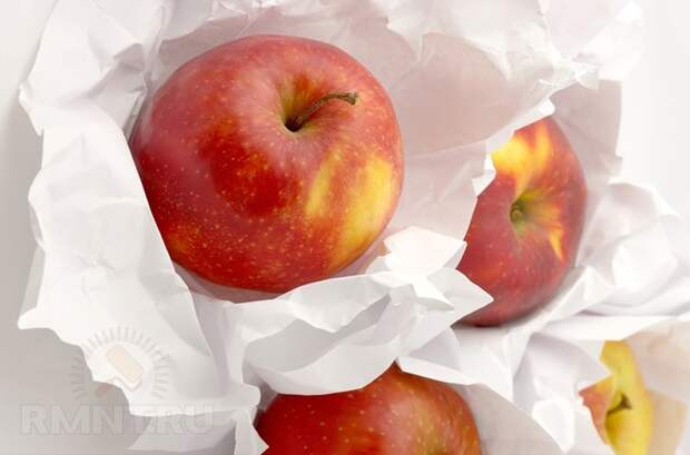 Как правильно собирать и хранить урожай яблок