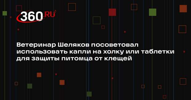 Ветеринар Шеляков посоветовал использовать капли на холку или таблетки для защиты питомца от клещей