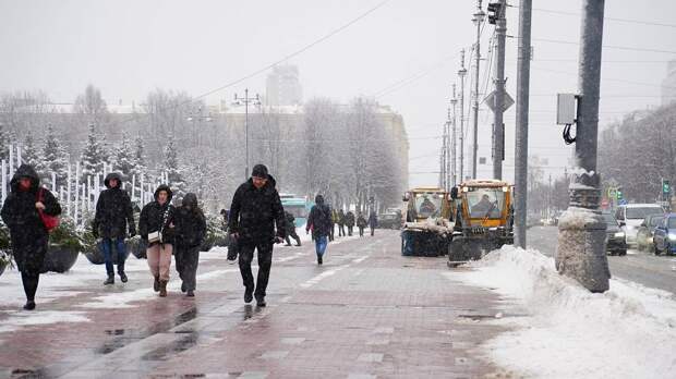 Петербуржцев в первый рабочий день недели порадует солнце