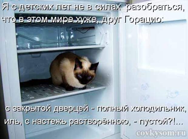 Кулинарные котоматрицы
