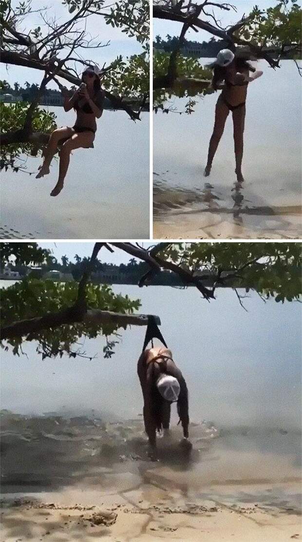 девушка, дерево, падение, трусы