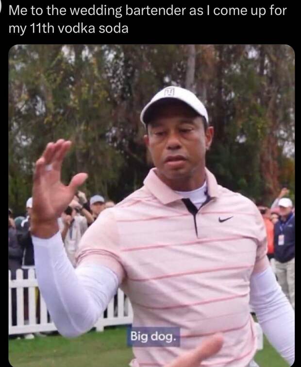 best of the Tiger Woods Big Dog meme