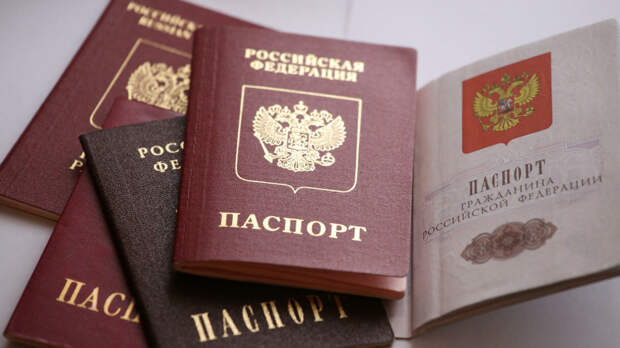 «Ни в сад, ни за границу»: петербуржцы не могут поставить штамп о гражданстве в документах детей