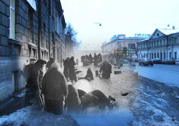 Эхо блокады Ленинграда 1195 Эхо блокады Ленинграда