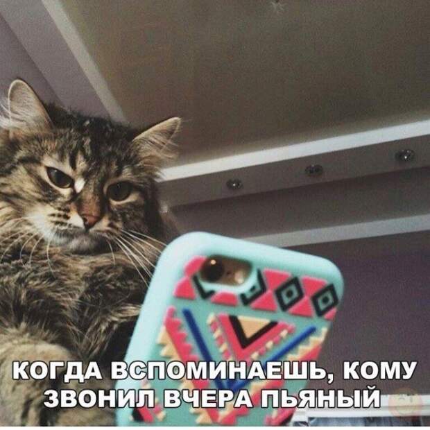Ситуации, которые поймут люди, которые хотя бы раз в жизни напивались Ситуации, которые поймут люди, которые хотя бы раз в жизни напивались