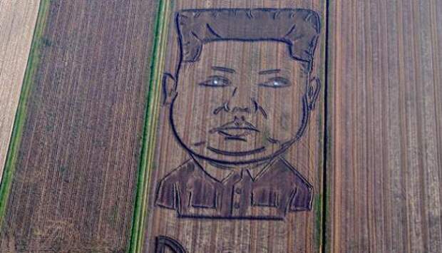 Во славу великого вождя: На соевом поле в Италии вырастили двухсотметровый портрет Ким Чен Ына | Продолжение проекта «Русская Весна»