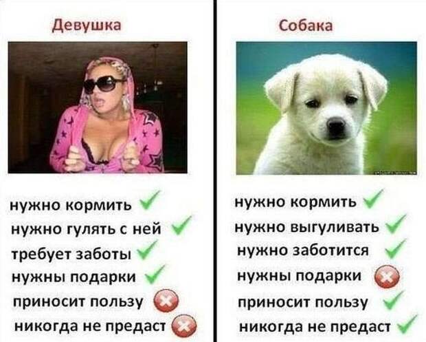 Прикольные картинки (104 фото)