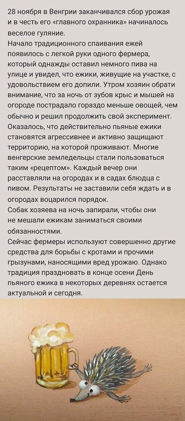 Смешные и познавательные картинки