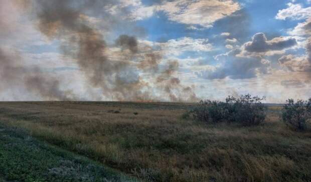 Степной пожар площадью 20 гектаров потушили в районе аэропорта Орска