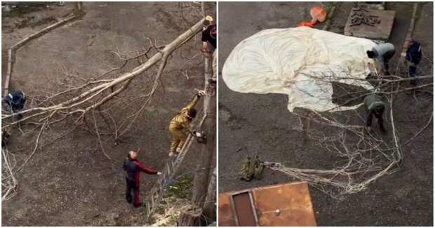 Обычные будни в Ессентуках