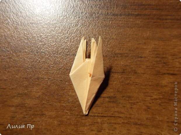 Вечноцветущий гиацинт. Оригами.