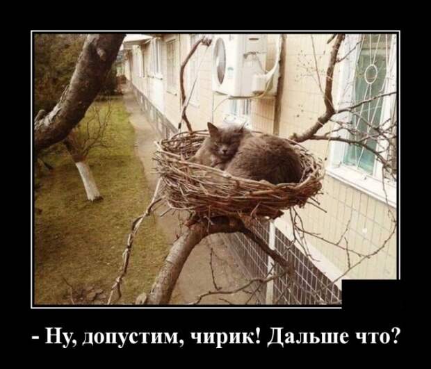 Демотиваторы (20 фото)