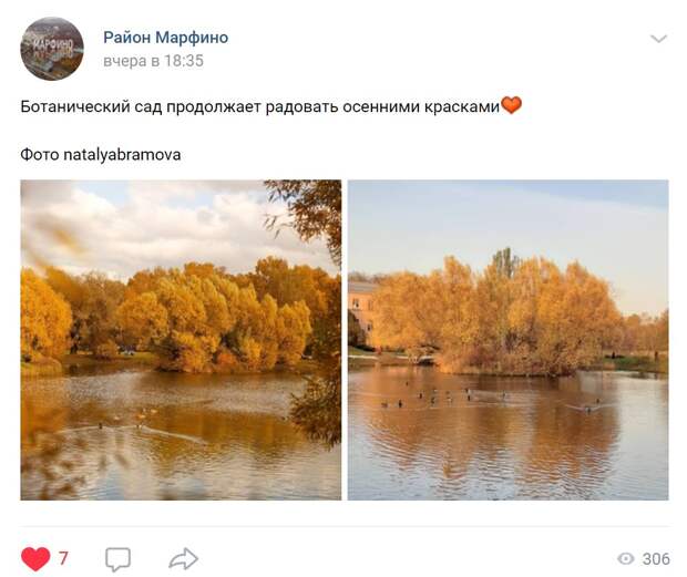Ботанический сад порадовал фотолюбительницу осенними красками