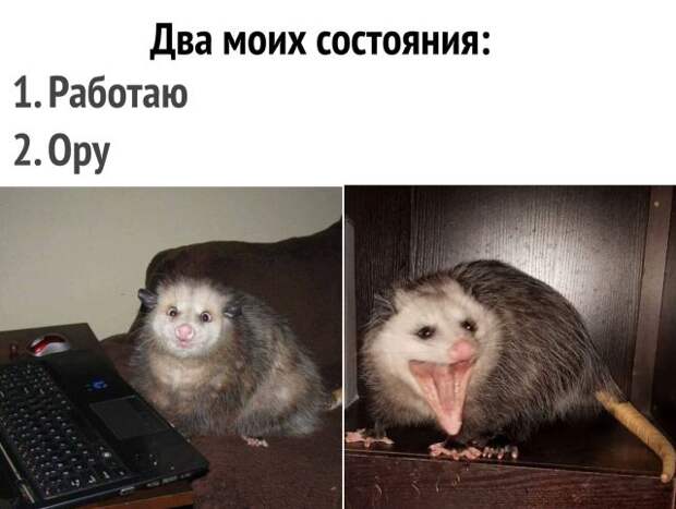 Подборка картинок (20 фото)