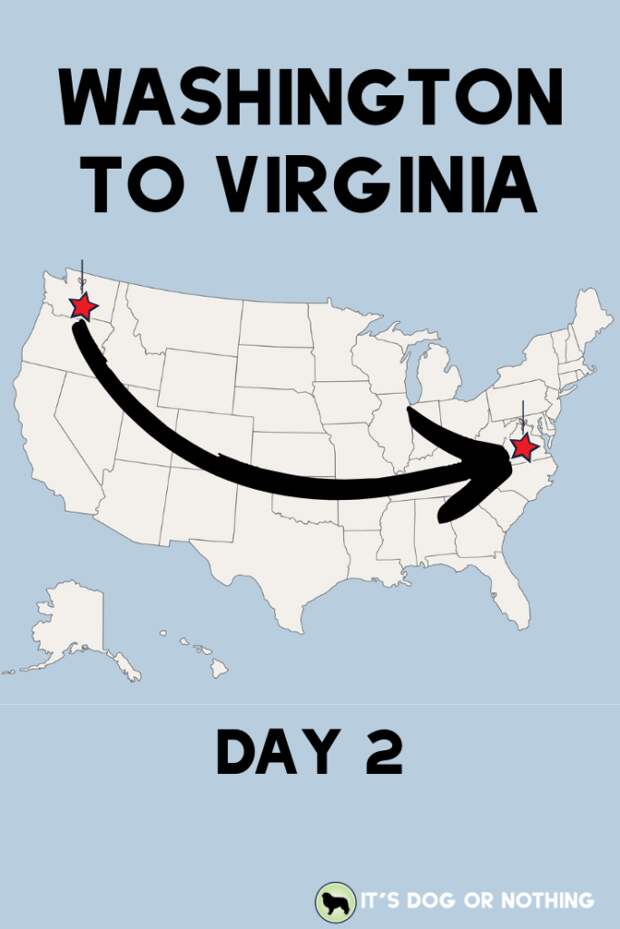 A recap of day two of our move from Washington to Virginia with four Great Pyrenees and a cat! | It's Dog or Nothing