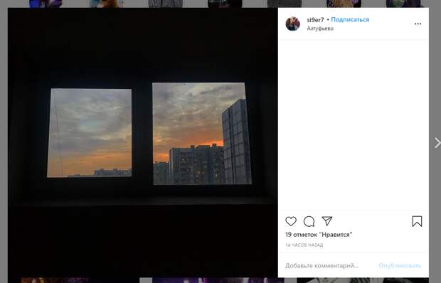Фото дня: окно в Алтуфьево