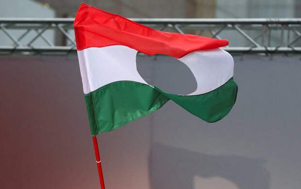 Посол Украины попозировал с продырявленным флагом Венгрии