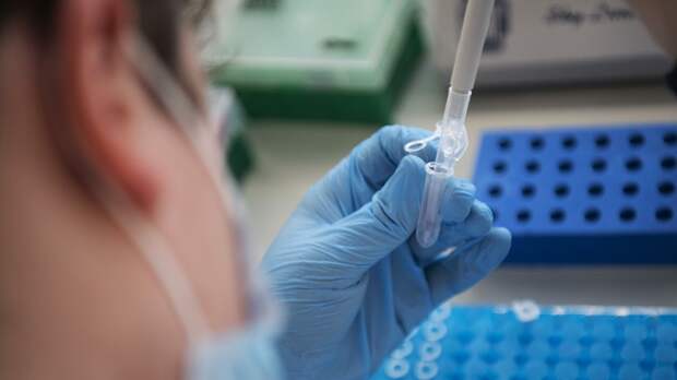 Эксперт оценила ситуацию с распространением грибка Candida auris 