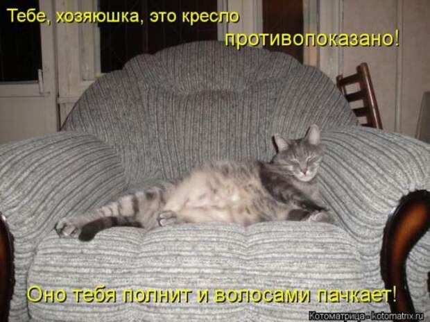 Котоматрицы (картинки с надписями)
